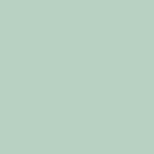 Solid Mint Green - Fabric