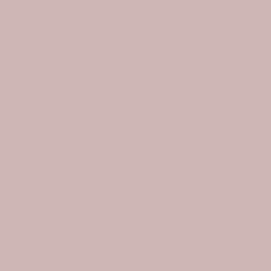 Solid Muted Pink - Fabric