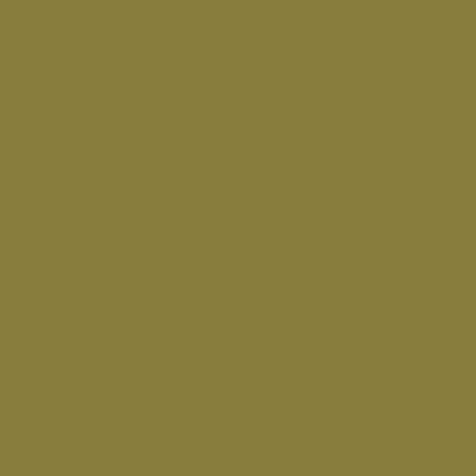 Solid Olive Green - Fabric