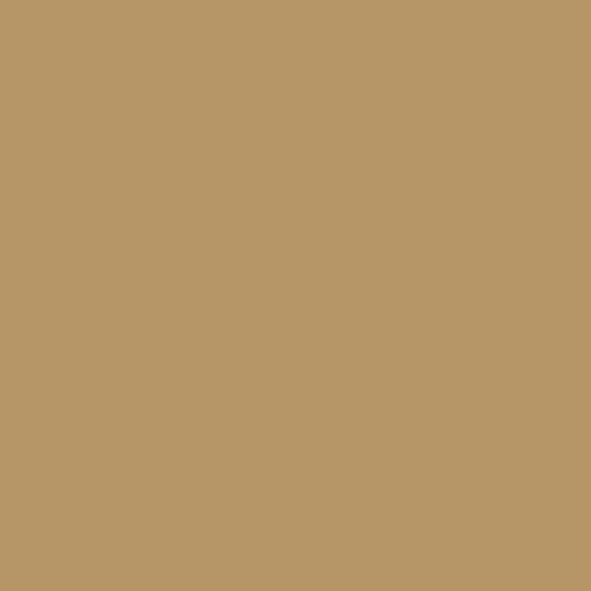 Solid Sand - Fabric