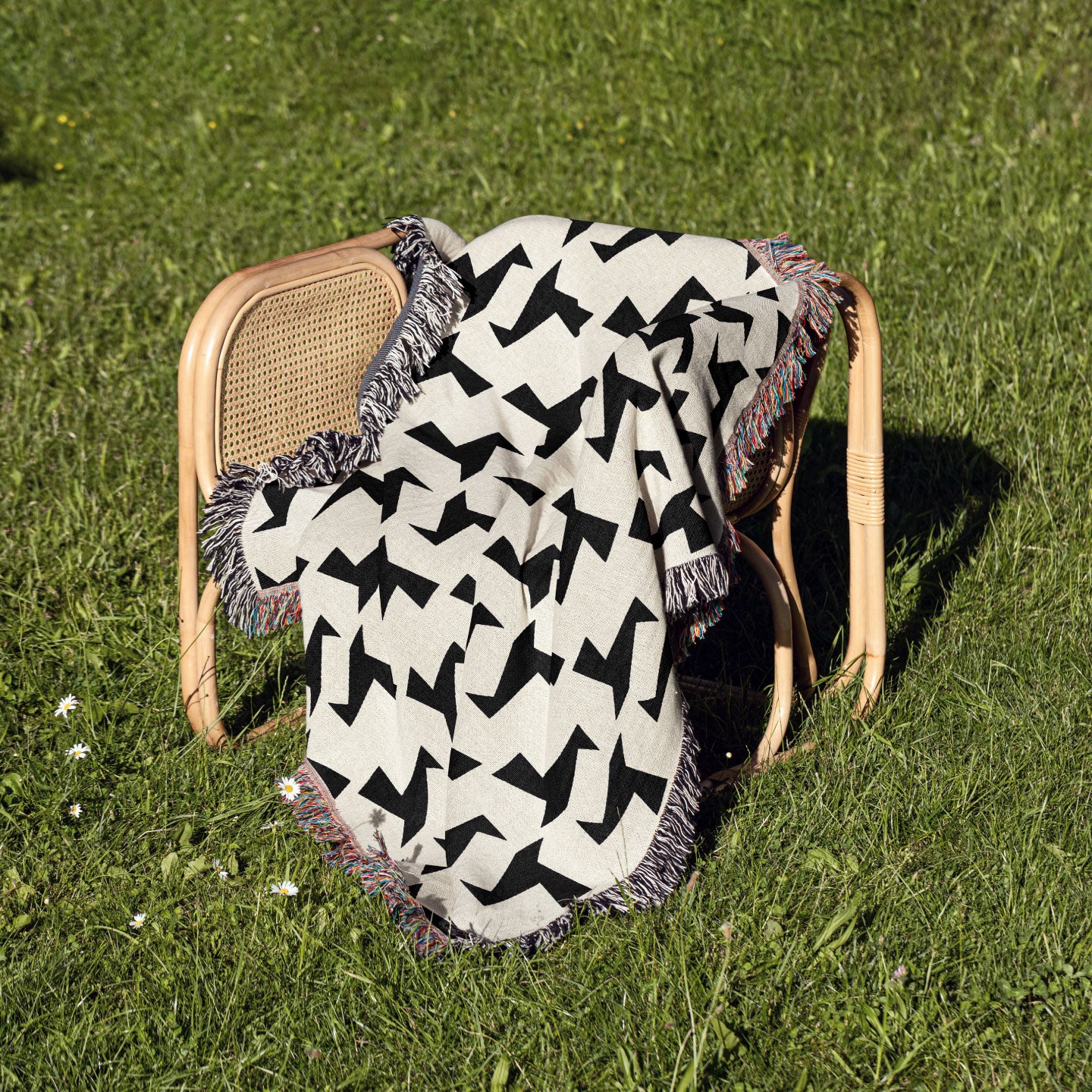Flight Jacquard Woven Blanket